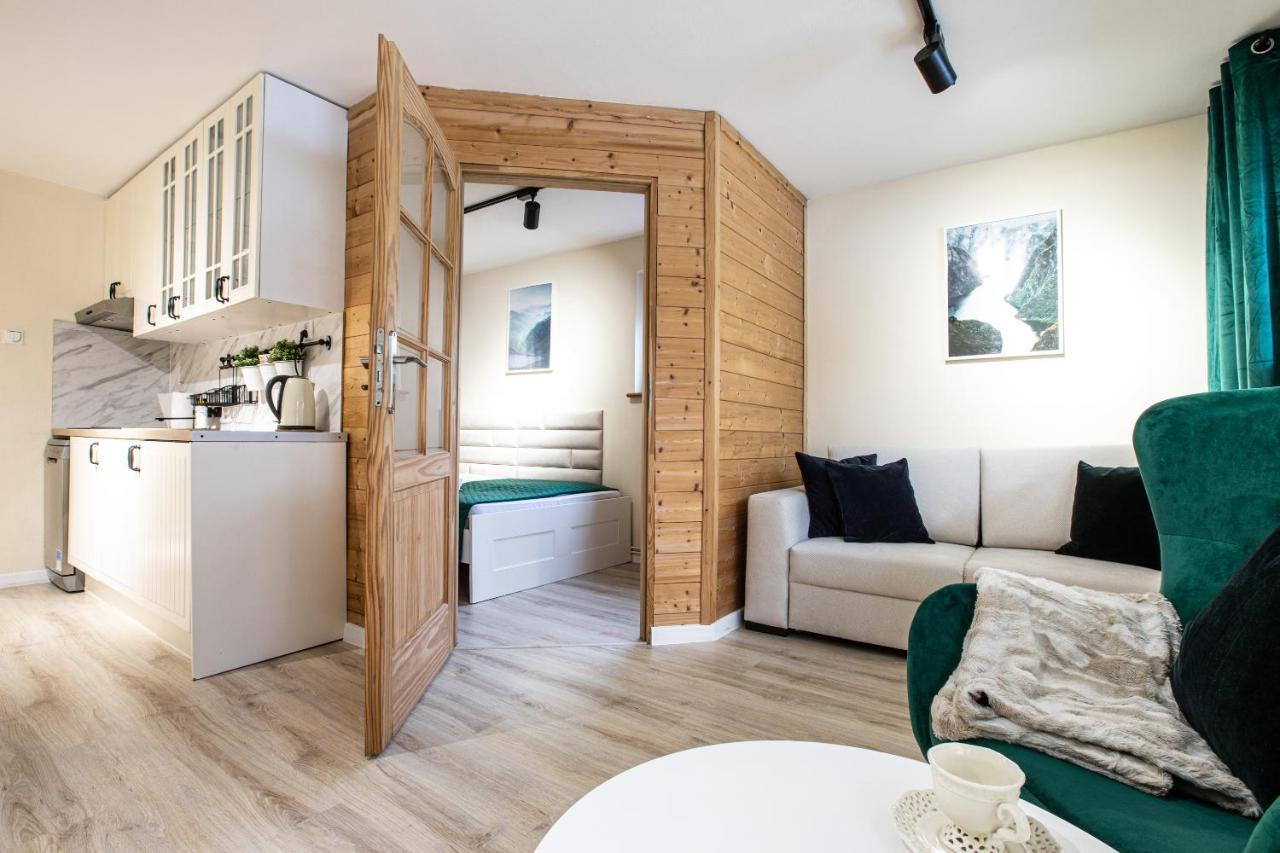 זקופאנה Apartament Z Sauna מראה חיצוני תמונה