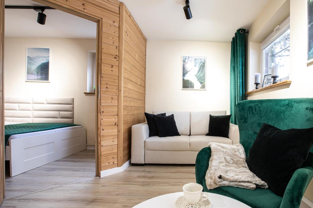זקופאנה Apartament Z Sauna מראה חיצוני תמונה